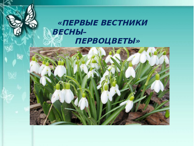 «ПЕРВЫЕ ВЕСТНИКИ ВЕСНЫ– ПЕРВОЦВЕТЫ» 