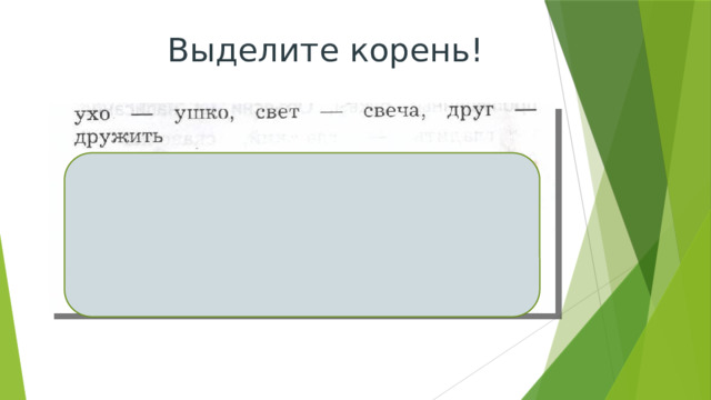 Выделите корень! 
