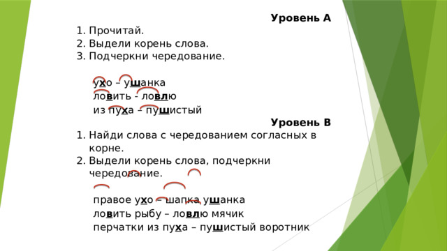 Уровень А Прочитай. Выдели корень слова. Подчеркни чередование. Уровень В   Найди слова с чередованием согласных в корне. Выдели корень слова, подчеркни чередование. у х о – у ш анка   ло в ить - ло вл ю правое у х о – шапка у ш анка из пу х а – пу ш истый ло в ить рыбу – ло вл ю мячик перчатки из пу х а – пу ш истый воротник  