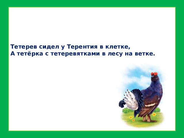 Тетерев сидел у Терентия в клетке,  А тетёрка с тетеревятками в лесу на ветке.   