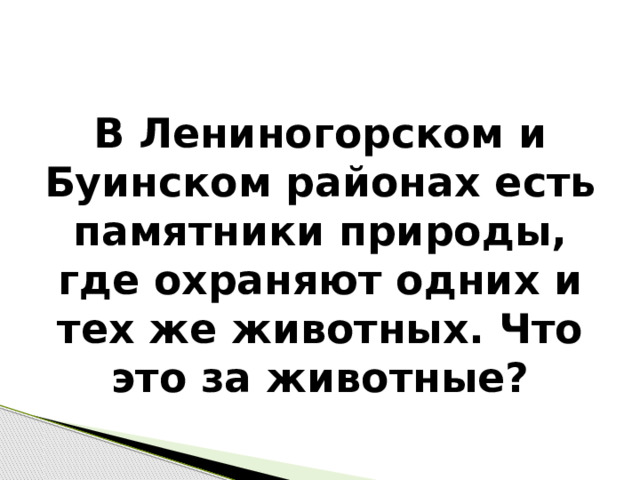 В Лениногорском и Буинском районах есть памятники природы, где охраняют одних и тех же животных. Что это за животные? 