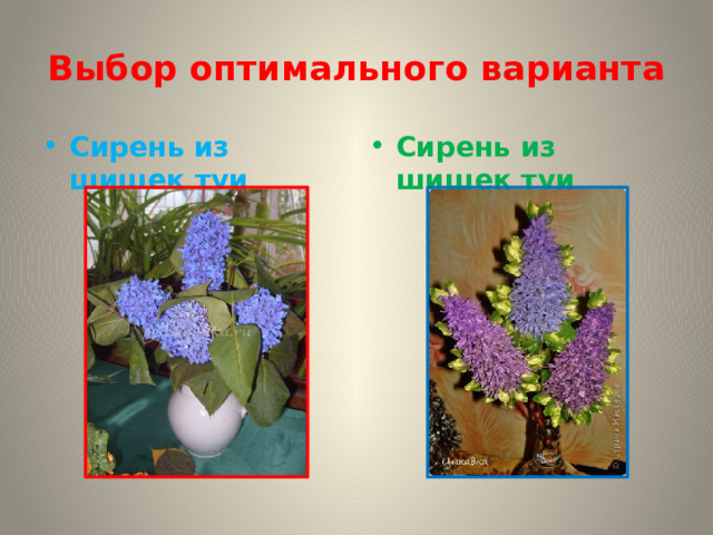 Выбор оптимального варианта Сирень из шишек туи   Сирень из шишек туи  