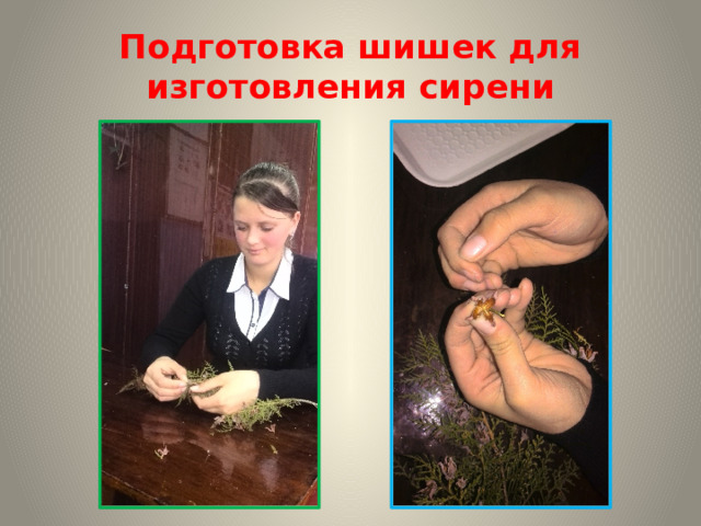 Подготовка шишек для изготовления сирени 