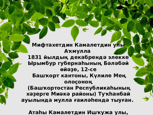 Мифтахетдин Камалетдин улы Аҡмулла 1831 йылдың декабрендә элекке Ырымбур губернаһының Бәләбәй өйәҙе, 12-се  Башҡорт кантоны, Күлиле Мең оло ҫ оноң  (Башҡортостан Республикаһының хәҙерге Миәкә районы) Туҡһанбай ауылында мулла ғаиләһендә тыуған.  Атаһы Камалетдин Ишҡужа улы, әсәһе Бибиөммөгөлсөм Сәлимйән ҡыҙы - икеһе лә аҫаба башҡорттар.  