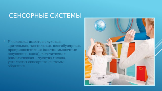 Сенсорные системы У человека имеется слуховая, зрительная, тактильная, вестибулярная, проприоцептивная (костно-мышечные ощущения, кожа), вегетативная (соматическая – чувство голода, усталости) сенсорные системы, обоняние 