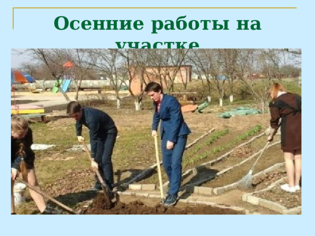 Осенние работы на участке 