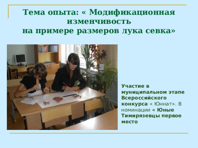 Тема опыта: « Модификационная изменчивость  на примере размеров лука севка»   Участие в муниципальном этапе Всероссийского конкурса « Юннат». В номинации « Юные Тимирязевцы первое место 