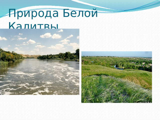 Природа Белой Калитвы 