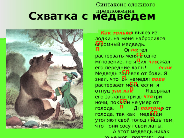 Синтаксис сложного предложения Схватка с медведем  Как только я вылез из лодки, на меня набросился огромный медведь. ......... Он хотел растерзать меня в одно мгновение, но я сильно сжал его передние лапы! ……..  Медведь заревел от боли. Я знал, что он немедленно растерзает меня, если я отпущу его. ………. Я держал его за лапы три дня и три ночи, пока он не умер от голода. ………  Да, он умер от голода, так как медведи утоляют свой голод лишь тем, что  они сосут свои лапы. ……….  А этот медведь никак этого не мог, поэтому  он погиб голодной смертью.  С тех пор ни один медведь не решается напасть на меня. Как только СПП но ССП что если СПП пока СПП так как что СПП поэтому СПП 