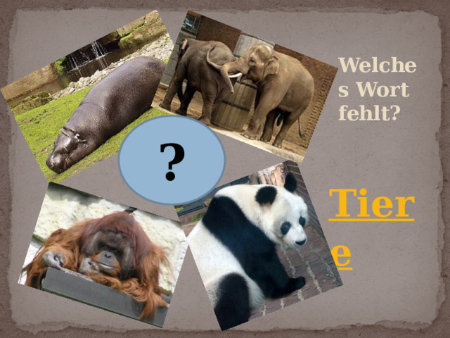 Welches Wort fehlt? ? 