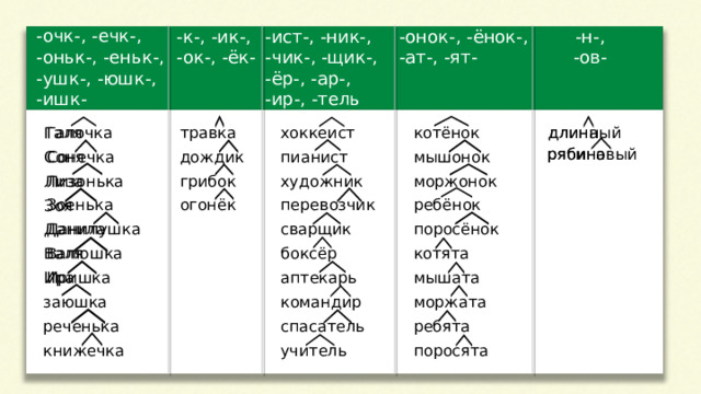 -очк-, -ечк-, -оньк-, -еньк-, -ушк-, -юшк-, -ишк- -к-, -ик-, -ок-, -ёк- -ист-, -ник-, -чик-, -щик-, -ёр-, -ар-, -ир-, -тель -н-, -онок-, -ёнок-, -ат-, -ят- -ов- Галочка Сонечка Лизонька Зоенька Данилушка Валюшка Иришка травка дождик грибок огонёк хоккеист пианист художник перевозчик сварщик боксёр аптекарь командир спасатель учитель котёнок мышонок моржонок ребёнок поросёнок котята мышата моржата ребята поросята длина Галя Соня Лиза Зоя Данила Валя Ира длинный рябиновый рябина заюшка реченька книжечка  