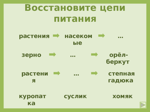 Восстановите цепи питания … растения насекомые   зерно орёл-беркут …   растения степная гадюка …   куропатка суслик хомяк 