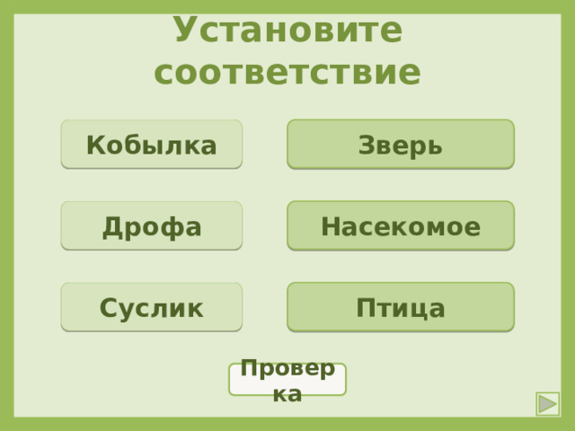 Установите соответствие Кобылка Зверь Дрофа Насекомое Суслик Птица Проверка 