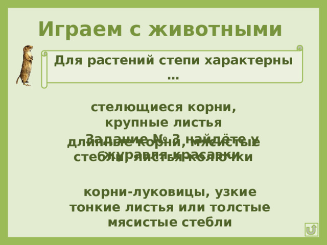 Играем с животными Для растений степи характерны … стелющиеся корни, крупные листья Задание № 3 найдёте у журавля-красавки длинные корни, мясистые стебли, листья-колючки корни-луковицы, узкие тонкие листья или толстые мясистые стебли 