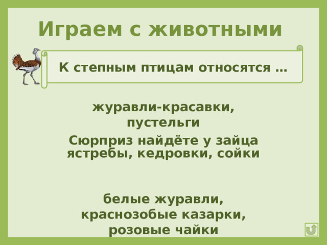 Играем с животными К степным птицам относятся … журавли-красавки, пустельги Сюрприз найдёте у зайца ястребы, кедровки, сойки белые журавли, краснозобые казарки, розовые чайки 