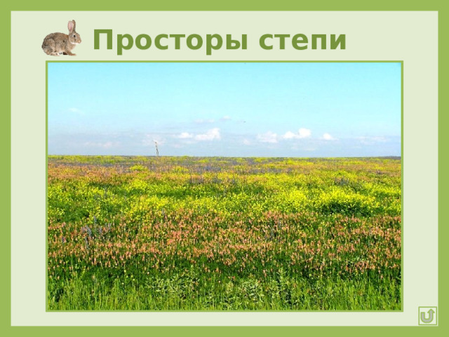 Просторы степи 