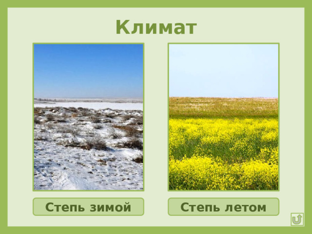 Климат Степь зимой Степь летом 