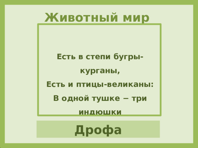 Животный мир Есть в степи бугры-курганы,  Есть и птицы-великаны:  В одной тушке − три индюшки Дрофа 