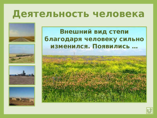 Деятельность человека Внешний вид степи благодаря человеку сильно изменился. Появились … 