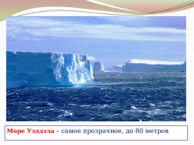 Море Уэддэла – самое прозрачное, до 80 метров 