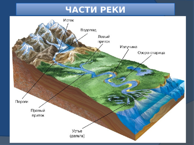 ЧАСТИ РЕКИ 