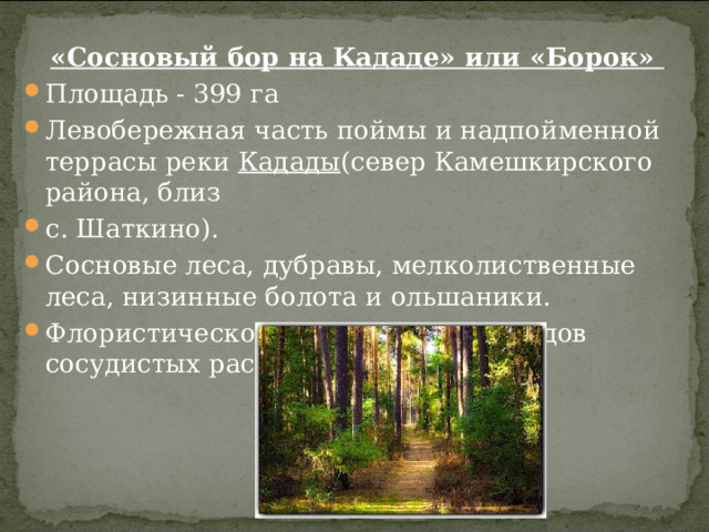  «Сосновый бор на Кададе» или «Борок» Площадь - 399 га Левобережная часть поймы и надпойменной террасы реки  Кадады (север Камешкирского района, близ с. Шаткино). Сосновые леса, дубравы, мелколиственные леса, низинные болота и ольшаники. Флористическое богатство — 530 видов сосудистых растений.  