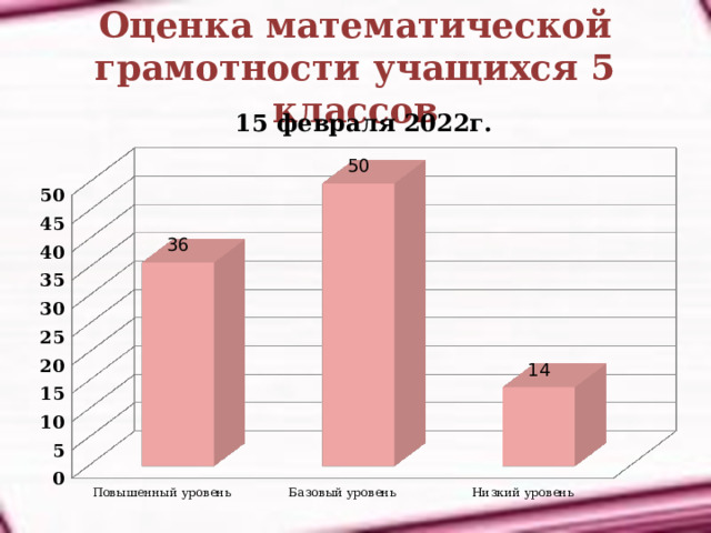 Оценка математической грамотности учащихся 5 классов 15 февраля 2022г. 