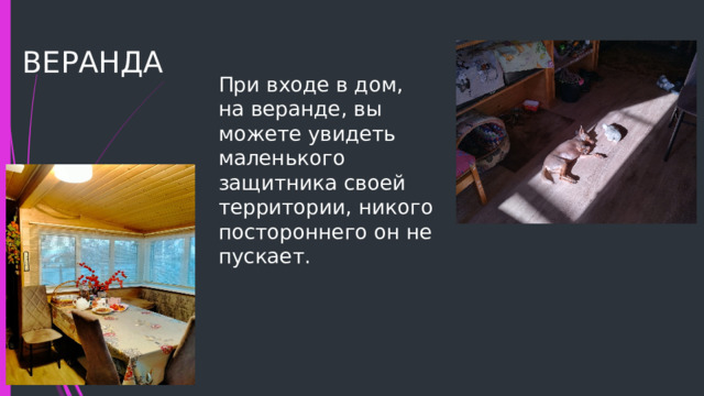 ВЕРАНДА При входе в дом, на веранде, вы можете увидеть маленького защитника своей территории, никого постороннего он не пускает. 
