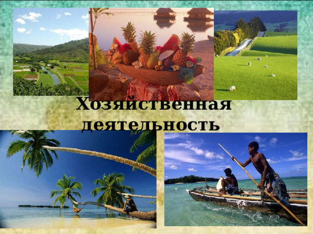 Хозяйственная деятельность 