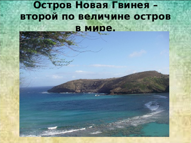 Остров Новая Гвинея – второй по величине остров в мире. 