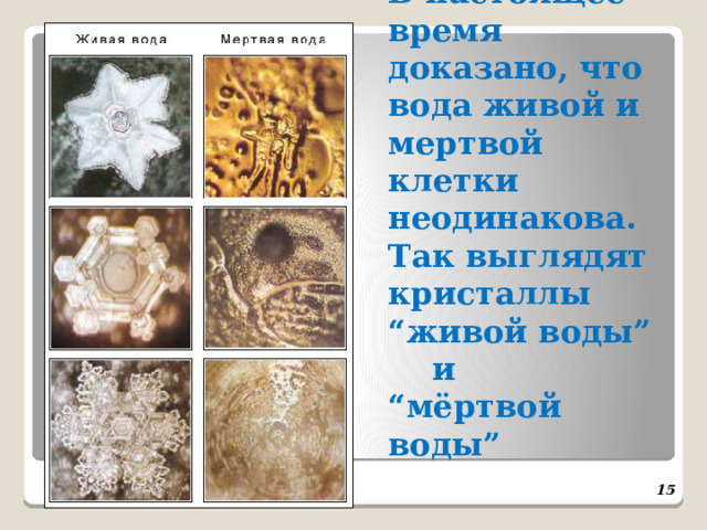 В настоящее время доказано, что вода живой и мертвой клетки неодинакова.  Так выглядят кристаллы  “живой воды”     и        “мёртвой воды”    