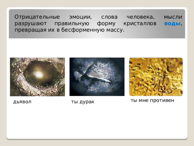 Отрицательные эмоции, слова человека, мысли разрушают правильную форму кристаллов воды , превращая их в бесформенную массу. ты мне противен дьявол ты дурак 