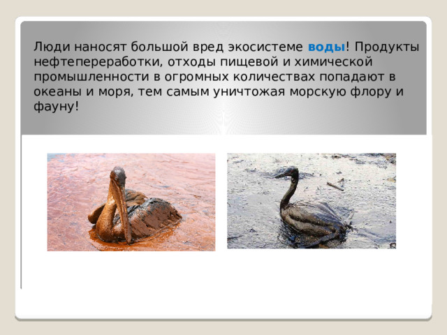 Люди наносят большой вред экосистеме воды ! Продукты нефтепереработки, отходы пищевой и химической промышленности в огромных количествах попадают в океаны и моря, тем самым уничтожая морскую флору и фауну!          