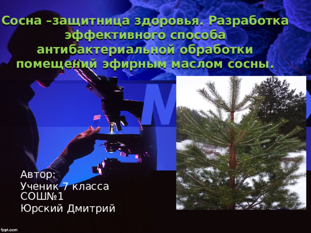 Сосна –защитница здоровья. Разработка эффективного способа антибактериальной обработки помещений эфирным маслом сосны. Click to edit Master subtitle style Автор: Ученик 7 класса СОШ№1 Юрский Дмитрий 