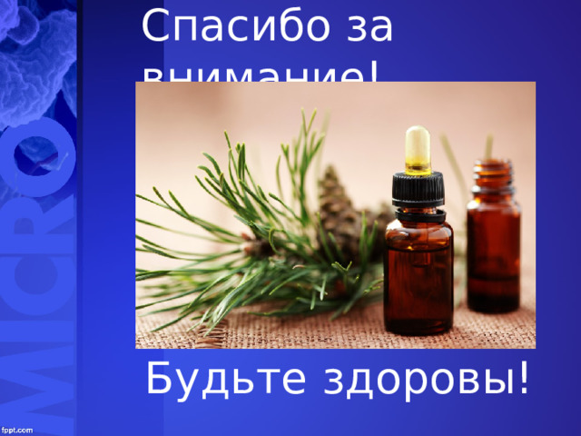 Спасибо за внимание! Будьте здоровы! 