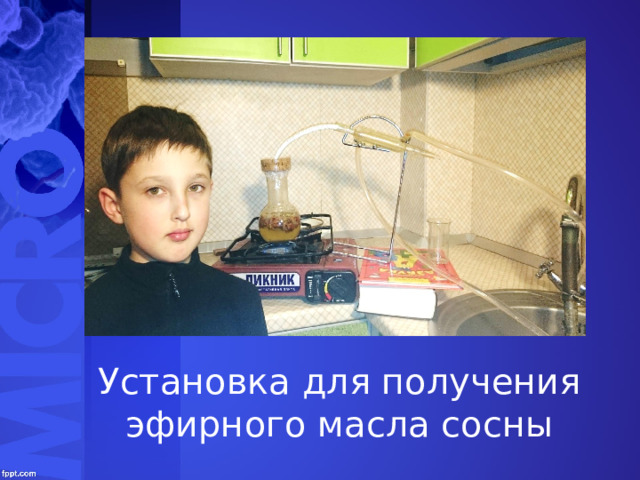 Установка для получения эфирного масла сосны 