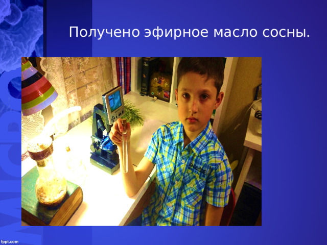 Получено эфирное масло сосны. 
