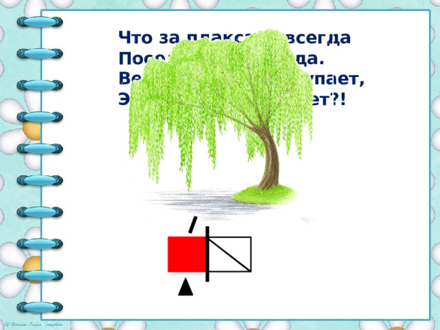 Что за плакса навсегда Поселилась у пруда. Ветви в нём свои купает, Это дерево кто знает?! 