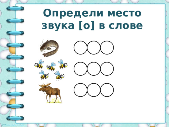 Определи место звука [o] в слове 
