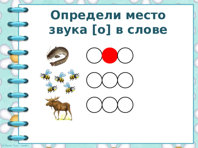 Определи место звука [o] в слове 