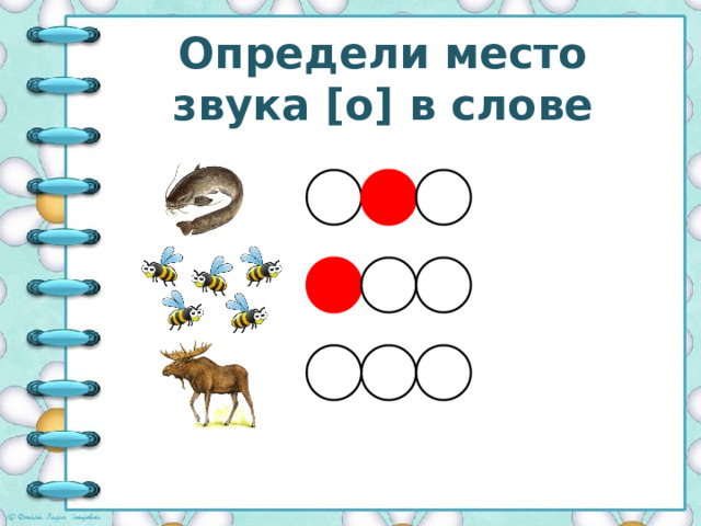 Определи место звука [o] в слове 
