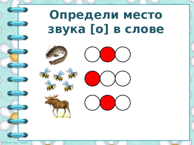 Определи место звука [o] в слове 