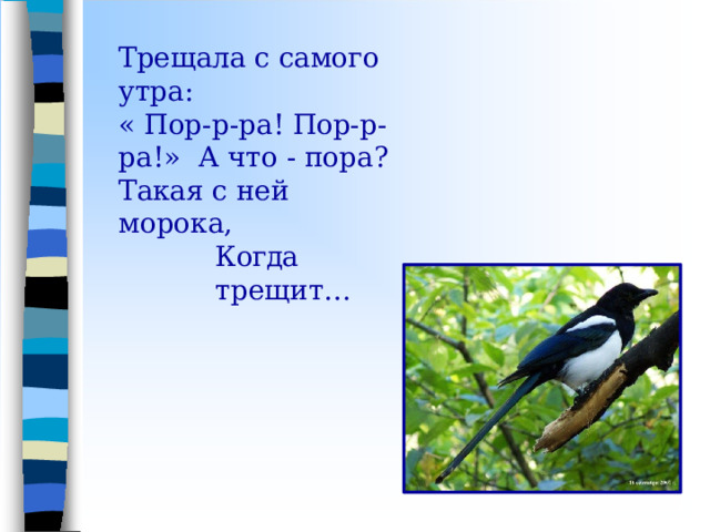 Трещала с самого утра: « Пор-р-ра! Пор-р-ра!»  А  что  - пора? Такая  с  ней морока, Когда  трещит… 