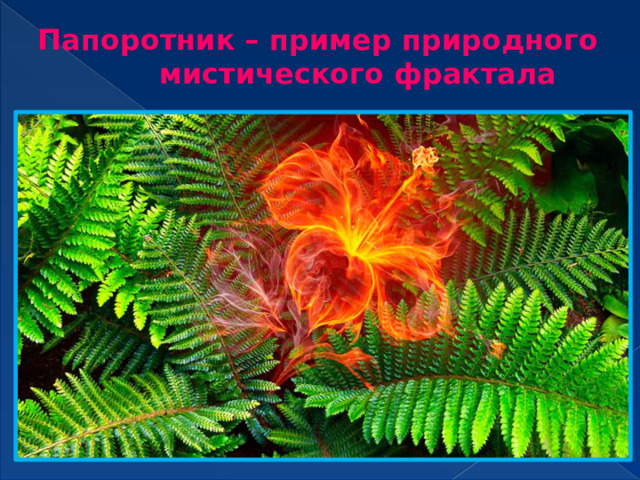 Папоротник – пример природного  мистического фрактала 