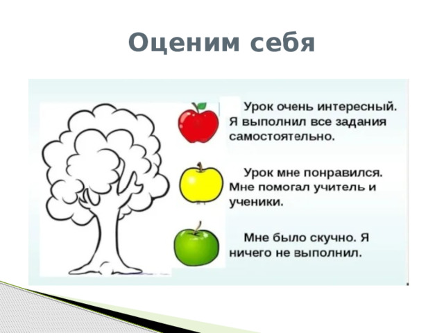 Оценим себя 