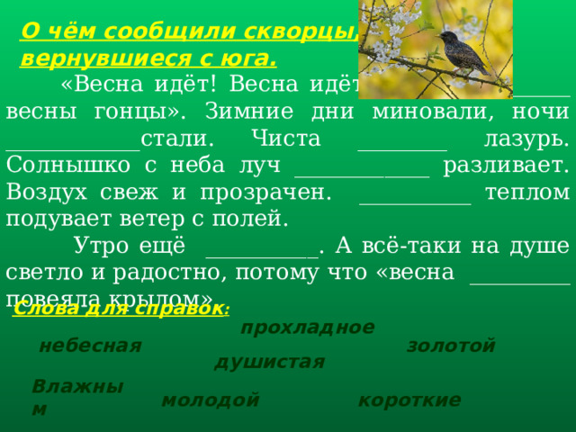 О чём сообщили скворцы, вернувшиеся с юга.    « Весна идёт ! Весна идёт ! Мы ____________ весны  гонцы ». Зимние дни миновали, ночи ____________ стали . Чиста _ _______ лазурь . Солнышко с неба луч ___________ _  разливает . Воздух свеж и прозрачен . __________ теплом подувает ветер с полей .  Утро ещё __________. А всё-таки на душе светло и радостно, потому что « весна ____ ____ _ повеяла  крылом ». Слова для справок : прохладное небесная золотой душистая Влажным короткие молодой   