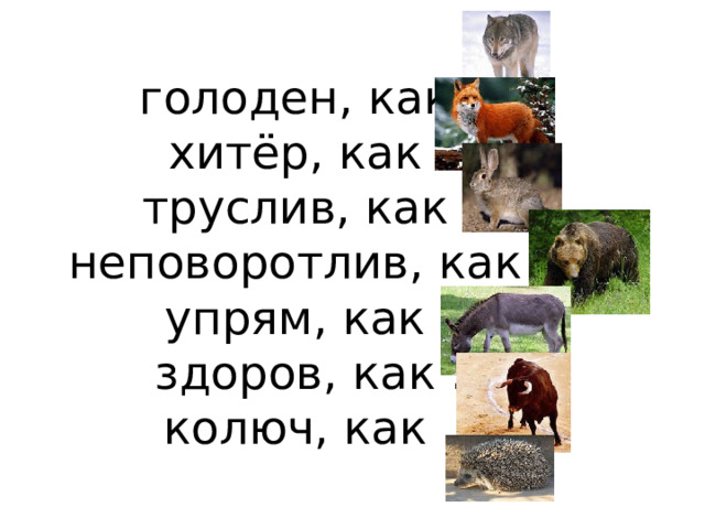 голоден, как …  хитёр, как …  труслив, как …  неповоротлив, как …  упрям, как …  здоров, как …  колюч, как …   
