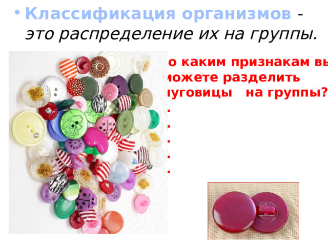 Классификация организмов - это распределение их на группы. По каким признакам вы  можете разделить  пуговицы на группы? 1. 2. 3. 4. 5. 