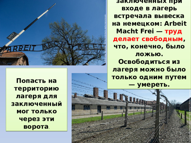  Новых заключенных при входе в лагерь встречала вывеска на немецком: Arbeit Macht Frei — труд делает свободным , что, конечно, было ложью. Освободиться из лагеря можно было только одним путем — умереть.  Попасть на территорию лагеря для заключенный мог только через эти ворота . 