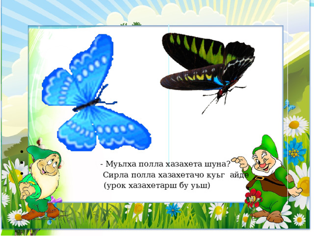  - Муьлха полла хазахета шуна?  Сирла полла хазахетачо куьг айде  (урок хазахетарш бу уьш) 